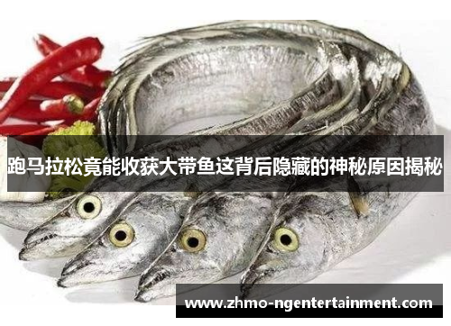 跑马拉松竟能收获大带鱼这背后隐藏的神秘原因揭秘